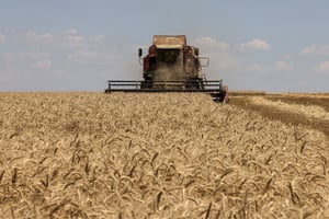 Un an après avoir donné son feu vert pour l’exportation des céréales ukrainiennes en mer Noire, à travers la Turquie, la Russie a opposé son veto à la prolongation de « l’accord céréalier », le 17 juillet 2023. © Anatolii Stepanov / AFP