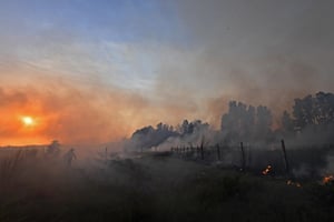 La fumée des incendies qui font rage dans la ville côtière de Tabarka, au nord-ouest du pays, près de la frontière avec l’Algérie. Tunisie, le 24 juillet 2023. © FETHI BELAID / AFP
