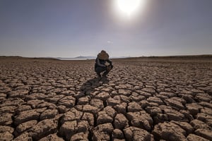 Le dôme de chaleur au Maghreb fait craindre des pertes de rendement agricole. © FADEL SENNA/AFP.