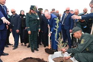 Le président algérien, Abdelmadjid Tebboune, donne le coup d’envoi du projet de Barrage vert à Djelfa, 29 octobre 2023. © APS