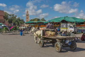 À Marrakech, les autorités ont lancé une campagne massive contre les charrettes « mikhala », qui amassent les déchets ménagers pour les recycler. © Frank Fell/robert harding via AFP.