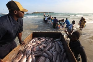 Des pêcheurs sénégalais sur la plage de Yoff, en décembre 2023. © Photo by CEM OZDEL / ANADOLU / Anadolu via AFP