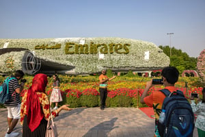 Au Dubai Miracle Garden, qui abrite plus de 150 millions de fleurs, le 8 novembre 2023, aux Émirats arabes unis. Dubaï s’apprête à accueillir la COP28, la 28e conférence des Nations unies sur le changement climatique. © Andrea DiCenzo/Getty Images via AFP