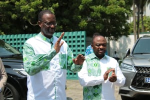 Tidjane Thiam, le nouveau président du Parti démocratique de Côte d’Ivoire (PDCI). © Facebook PDCI-RDA