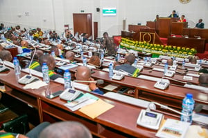 L’Assemblée nationale togolaise. © République du Togo