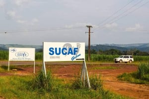 Rebaptisée « Les Sucreries du Gabon », l’ex-Sucaf est désormais détenue à hauteur de 10 % par l’État gabonais. © DR