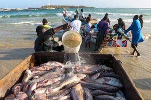 Des pêcheurs traditionnels dans le quartier de Yoff, à Dakar. © Cem Ozdel/Anadolu via AFP