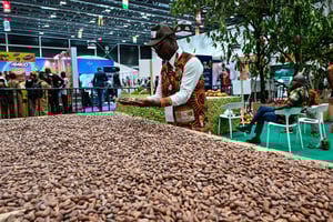 Journée nationale du cacao et du chocolat au parc des expositions d’Abidjan, le 30 septembre 2024. © Sia KAMBOU / AFP