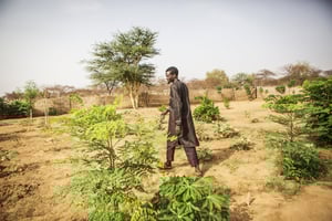 Dans le jardin de l’école à Mbar Toubab, au Sénégal, le 4 août 2019. © Jane Hahn/REDUX-REA