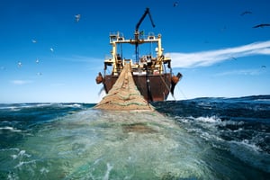 L’APP permettait au Sénégal de recevoir des allocations annuelles d’un montant de 8,5 millions d’euros. © Aslund/Greenpeace