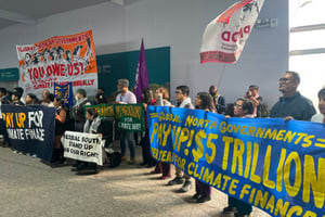 Des militants lors de la COP29 à Bakou, le 21 novembre 2024. © Laurent THOMET / AFP