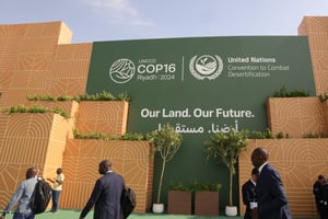 En 2023, les sécheresses, qui ont affecté le continent de manière disproportionnée, ont causé plus de 70 milliards de dollars de pertes économiques. © FAYEZ NURELDINE/AFP