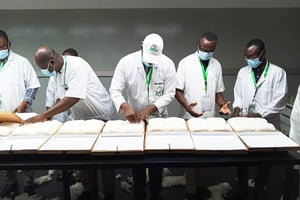 Le Mali devrait produire pour la campagne actuelle (2024-2025) près de 765 000 tonnes de coton, selon le département américain de l’Agriculture (USDA). © Facebook CMDT