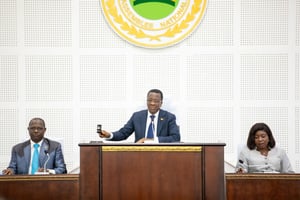 Les députés ont adopté à la majorité absolue le projet de loi autorisant la prorogation de l’état d’urgence sécuritaire pour 12 mois, à compter du 13 mars 2025. © X Assemblee Nationale du Togo
