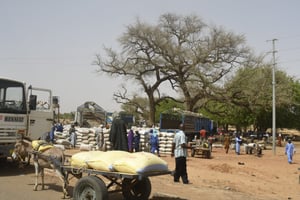 Sur le marché de la ville de Téra, dans le sud ouest du Niger, près du Burkina Faso, en juin 2022. © BOUREIMA HAMA / AFP