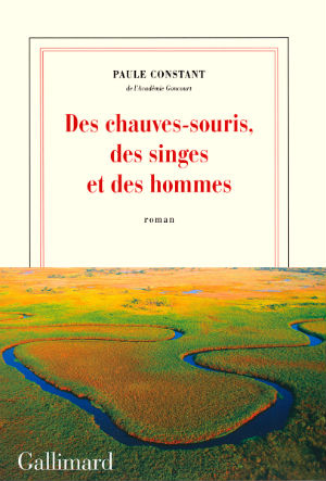 Des chauves souris et des dommes; de Paule Constant, éd. gallimard, 176 pages, 17,50 euros. © DR