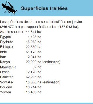 Superficies traitées par pesticides face au fléau des criquets (janvier 2020). &copy; Source : FAO