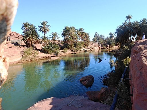 Oasis de Tiout, dans le sud algérien. &copy; Larbi.Afoutni/CC/Wikimedia Commons