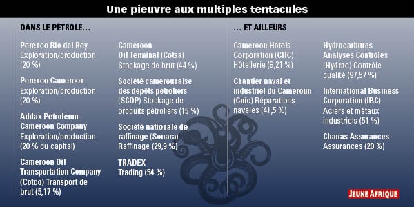 Une pieuvre aux multiples tentacules