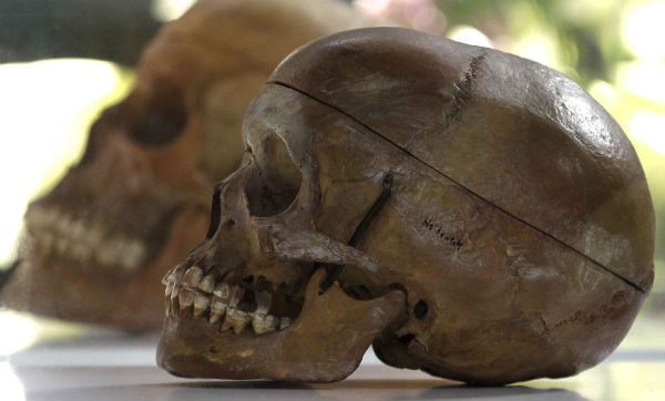 Des crânes de Hereros et Namas victimes de l'oppression du colonisateur allemand, exposé à Berlin le 29 septembre 2011. &copy; Michael Sohn/NBC/AP/SIPA