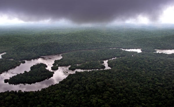 Le bassin du Congo est considéré comme le second poumon vert de la planète, après l'Amazonie. &copy; SAURABH DAS/AP/SIPA