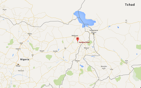 La forêt de Sambisa où les opérations de l'armée tentent de déloger Boko Haram. &copy; Maps.