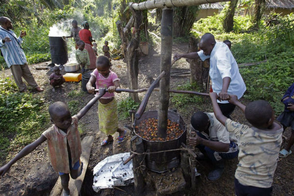 Image d'archive : une famille broie des noix de palmiers à huile à Walikale dans l'est de la RDC le 18 septembre 2010. C'est également dans les palmiers à huile que Feronia est active depuis le rachat des actifs de PHC en 2009. &copy; Schalk van Zuydam/AP/SIPA