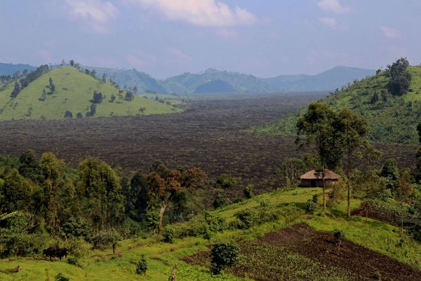 Vue d'une forêt de RDC brûlée tous les ans pour fournir du charbon de bois, prise le 27 janvier 2015. &copy; Melanie Gouby/AP/SIPA
