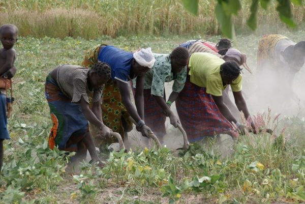 L'agriculture reste le premier contributeur au PIB burkinabé. Ici à proximité de Bobo Dioulasso. &copy; Javier Mármol/CC/ Flickr