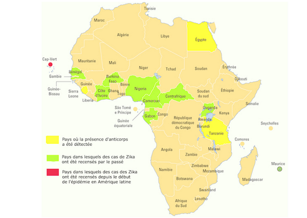 Carte de la présence du virus Zika sur le continent africain. &copy; Source : Institut Pasteur