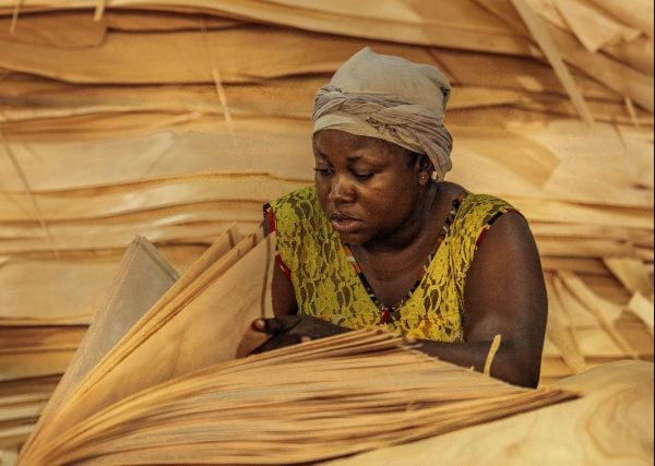 Guide investir Gabon 2018 -Zone économique spéciale de Nkok (GSEZ), Société Green Ply sa, insdustrie du bois déroulé. Libreville, Juillet 2018.Photo Jacques Torregano pour JA &copy; Jacques Torregano/Divergence pour JA