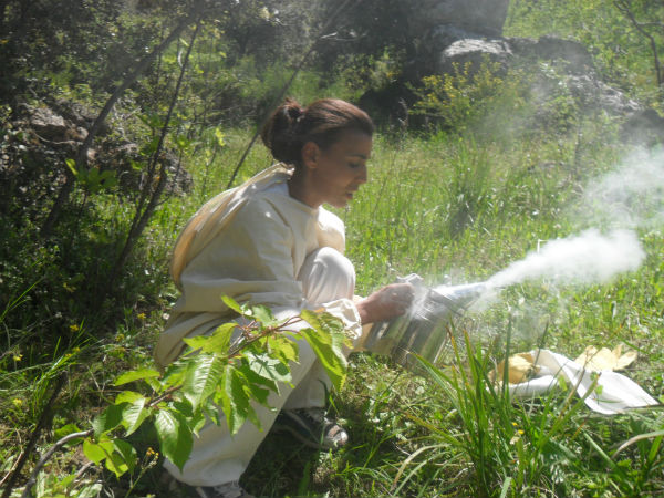Des femmes de la région en plein apprentissage des méthodes et techniques liées à l’apiculture. &copy; El Watan