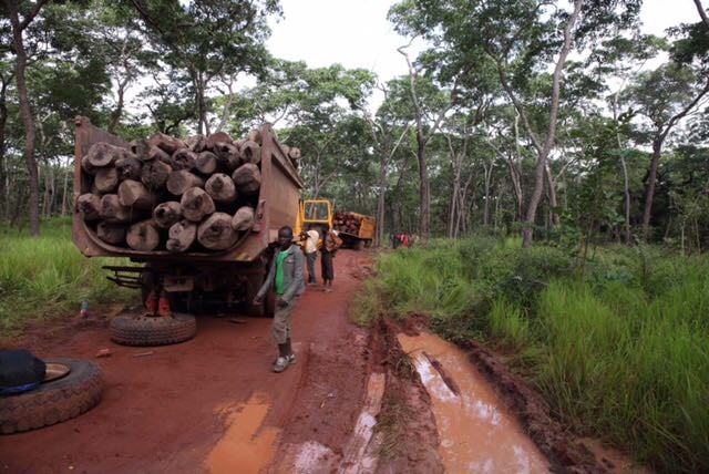 Un camion transportant du bois rouge tombe en panne sur la route Kasenga-Pweto, dans le sud-est de la RDC. &copy; DR