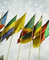 Drapeaux des pays membres de la Cemac au siège de l’organisation, à Bangui, en 2016 © Vincent Fournier/Jeune Afrique/