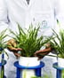 Grâce au rachat de Monsanto, le groupe pharmaceutique allemand Bayer avance ses pions sur le continent. Ici l’un de ses centres de R&D, à Francfort, en juin. © Alex Kraus/Bloomberg via Getty Images