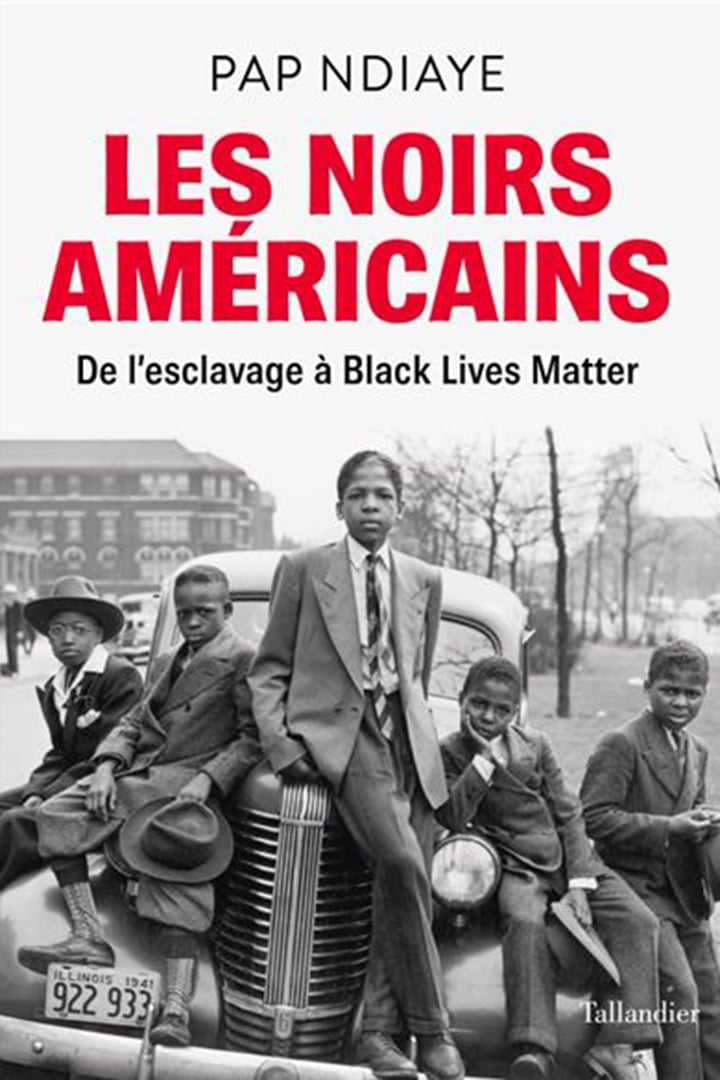 "Les noirs américains" de Pap Ndiaye, éditions Tallandier, 272 pages, 18,90 euros &copy; Editions tallandier