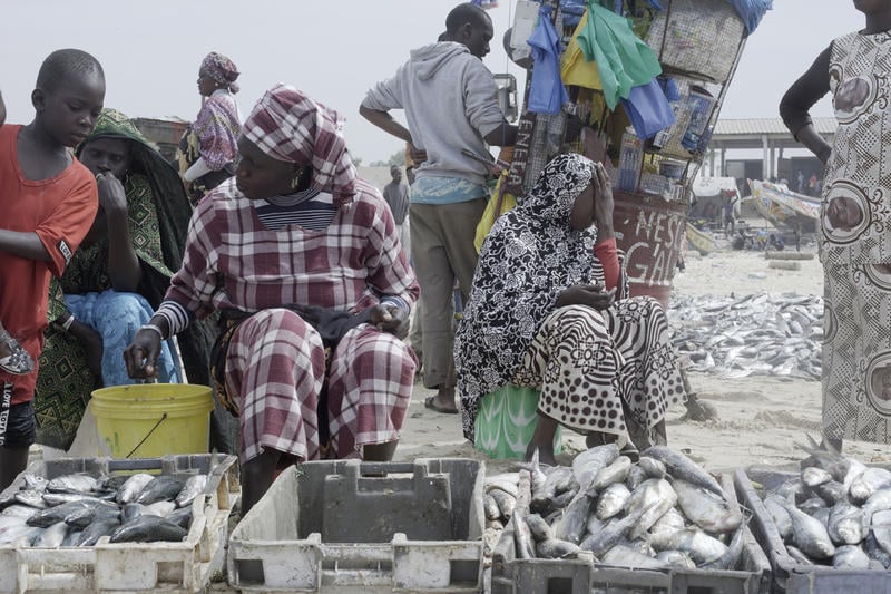 Des femmes sénégalaises transformatrices, du marché aux poissons de Mantulaye Dieye, à Cayar. &copy; Greenpeace/Pape Diatta Sarr