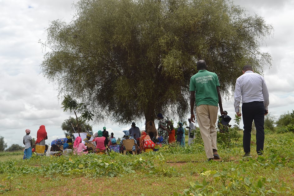  &copy; Focus group avec le groupement féminin dans la région de Mbaye Awa sur le tracé de la Grande Muraille Verte, Sénégal