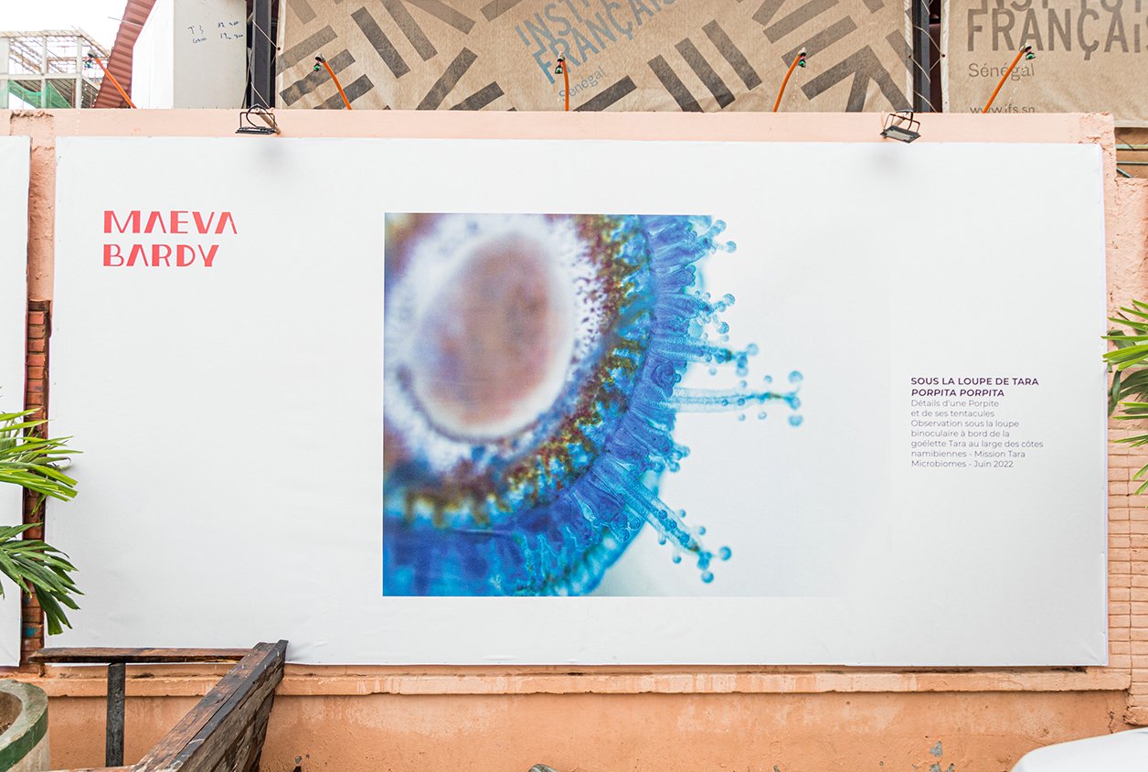 L’exposition « Tara Océan, Corps noir, absorption et rayonnement » est présentée à l’Institut français du Sénégal 30 janvier 2023. © © Maeva Bardy et Fondation Tara Ocean